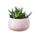 Cras neque furniture